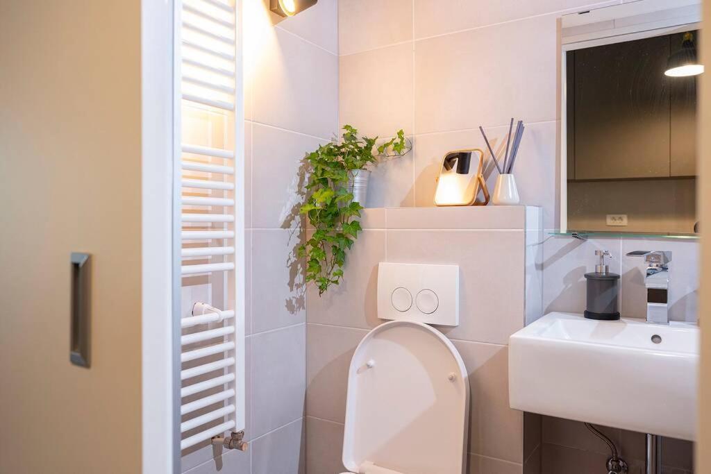 New Charming In The Heart Of The City! Apartment